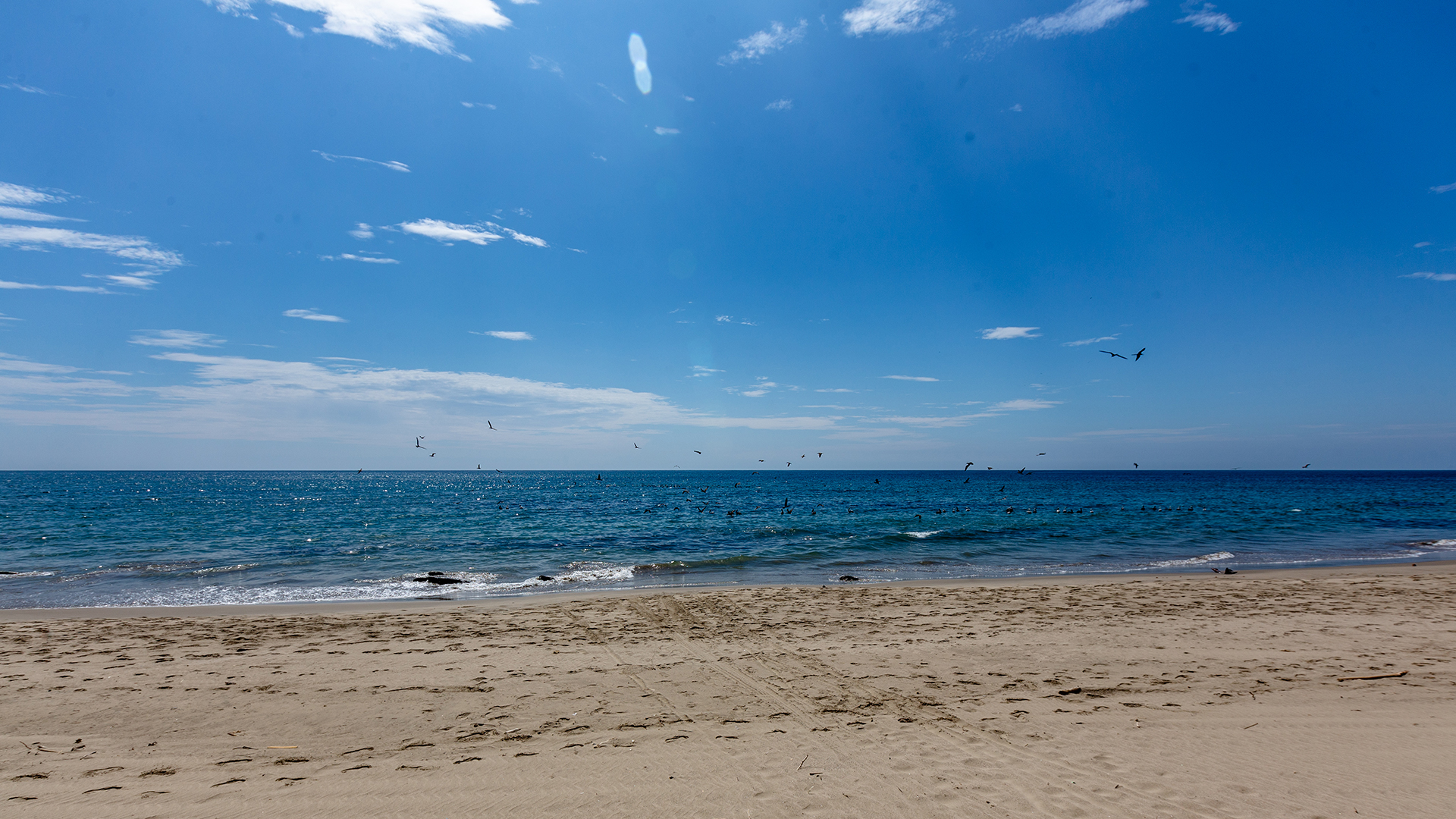 mhps_fam_beachview_03
